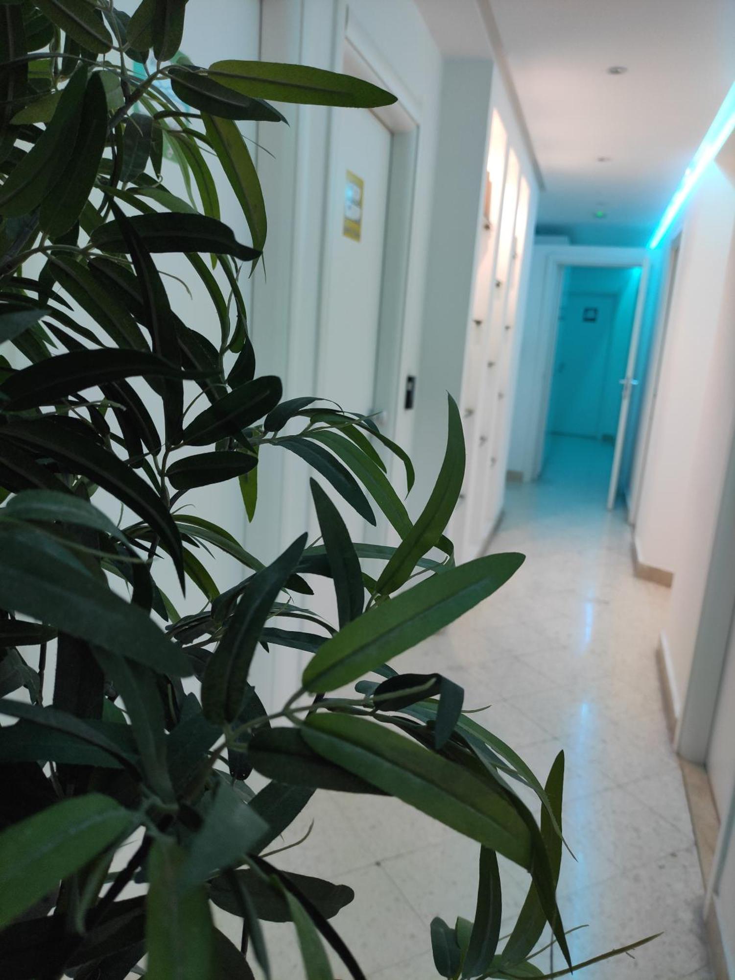 Palermo Central B&B 외부 사진